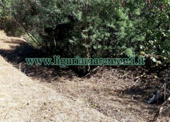 Terreno agricolo Savona (zona Santuario) - foto 2