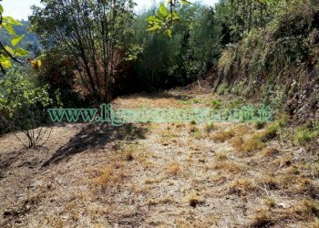 Terreno agricolo Savona (zona Santuario) - foto 8