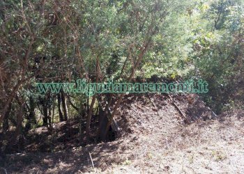 Terreno agricolo Savona (zona Santuario) - foto 9