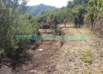 Terreno agricolo Savona (zona Santuario) - foto 10