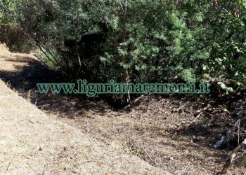 Terreno agricolo Savona (zona Santuario) - foto 11
