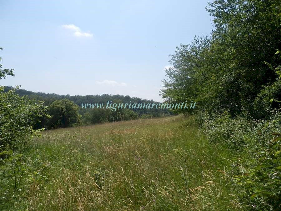 Rustic Dego - photo 3