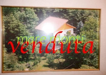 Independent house Stella - photo 1