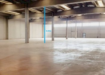 Capannone via Trieste, 4, Pomezia - foto 4