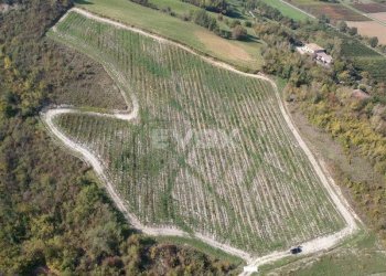 Rustic Savignano sul Panaro - photo 1