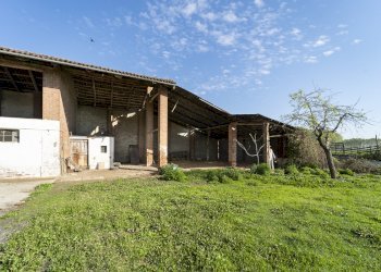 Casa indipendente Osasio - foto 4