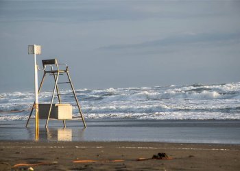 Trilocale Via Leognan 8, Castagneto Carducci - foto 18