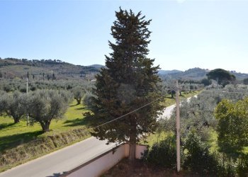 Two-room apartment Localita le Bozze, Castagneto Carducci - photo 19