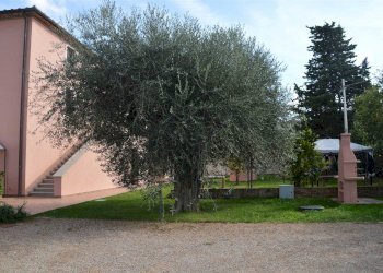 Trilocale Localita le Bozze, Castagneto Carducci - foto 22