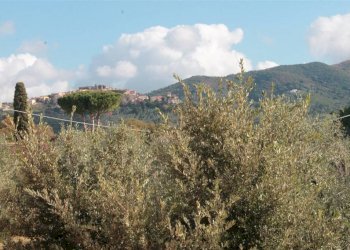 Quadrilocale Località Cerreta 67, Castagneto Carducci - foto 13