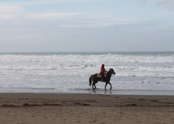Trilocale Via della Marina 29, Castagneto Carducci - foto 9