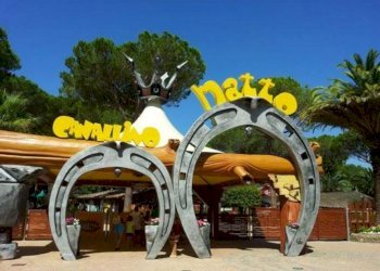 Trilocale Via della Marina 29, Castagneto Carducci - foto 19