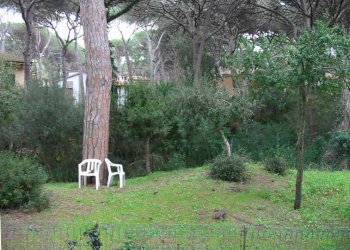 Appartamento Via della Pineta 24, Castagneto Carducci - foto 3