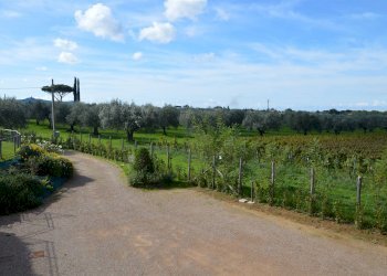 Quadrilocale Localita' le Bozze, Castagneto Carducci - foto 23