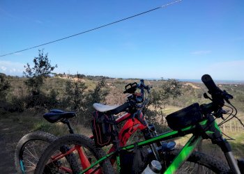 Quadrilocale Localita' le Bozze, Castagneto Carducci - foto 29