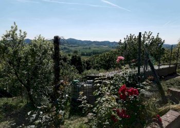 Casa indipendente Mombello Monferrato - foto 9