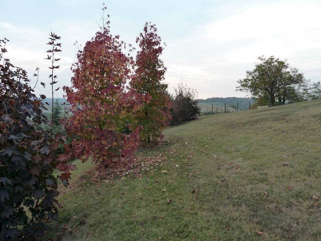 Rustico San Martino Alfieri - foto 3