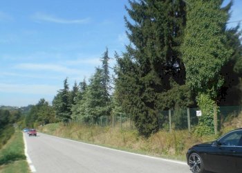 Rustico San Martino Alfieri - foto 5