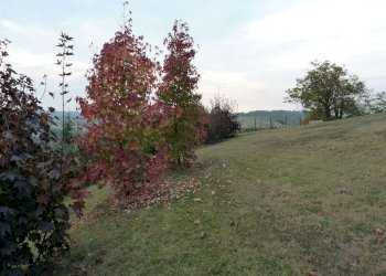 Rustico San Martino Alfieri - foto 21