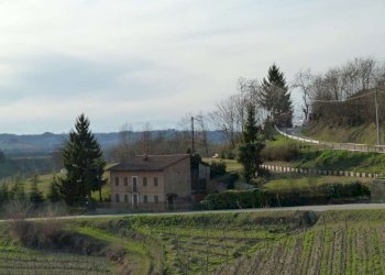 Rustico San Martino Alfieri - foto 22