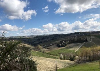 Independent house Roddino - photo 20