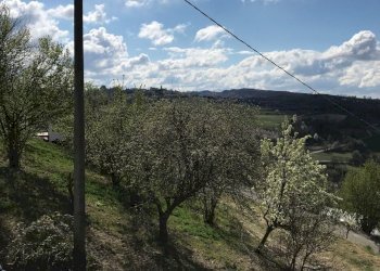 Independent house Roddino - photo 23