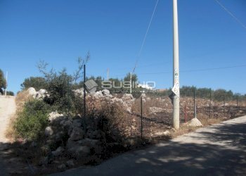 Terreno agricolo TRAVERSA TESTA MOZZE, Noto - foto 2