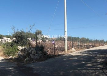 Terreno agricolo TRAVERSA TESTA MOZZE, Noto - foto 6