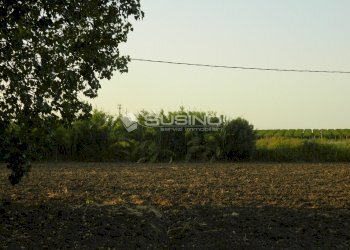 Rustic CONTRADA COZZO PANTANO, Siracusa - photo 13
