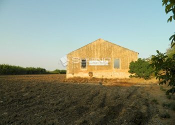 Rustic CONTRADA COZZO PANTANO, Siracusa - photo 14