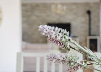 Villa Unifamiliare Via Valletta San Cristoforo, Savona (zona Legino) - foto 10