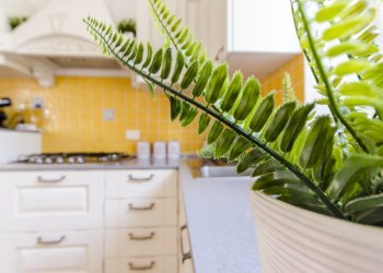 Villa Unifamiliare Via Valletta San Cristoforo, Savona (zona Legino) - foto 17