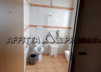 Attività Commerciale Via della Libertà, Altopascio - foto 4