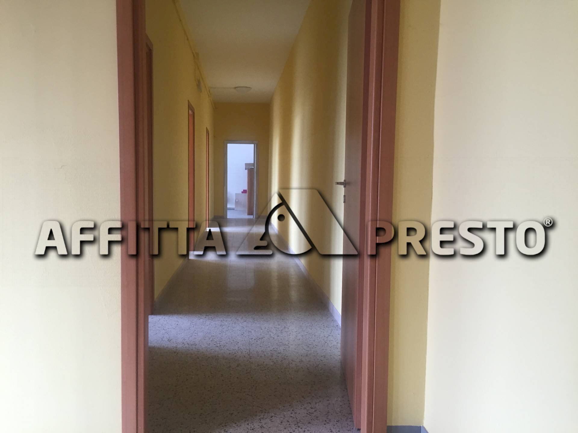 Attività Commerciale savonarola, Lucca (zona San Concordio Contrada) - foto 2