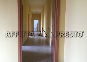 Attività Commerciale savonarola, Lucca (zona San Concordio Contrada) - foto 2