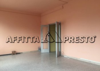 Attività Commerciale savonarola, Lucca (zona San Concordio Contrada) - foto 3