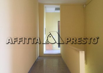 Attività Commerciale savonarola, Lucca (zona San Concordio Contrada) - foto 8