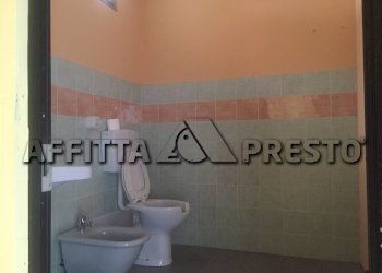 Attività Commerciale savonarola, Lucca (zona San Concordio Contrada) - foto 9