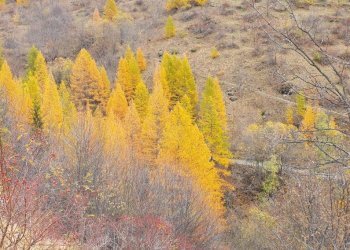 Rustico Frazione Rochemolles, Bardonecchia - foto 36