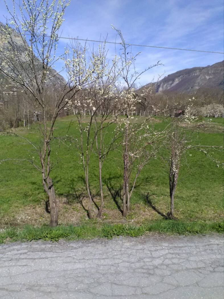 Building land Valdieri - photo 2