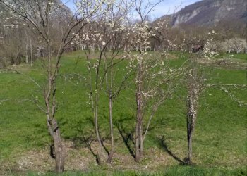 Terreno edificabile Valdieri - foto 2