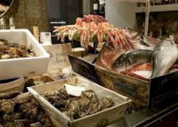 REPERTORIO - Restaurant viale Giovanni Bovio, 115, Pescara - photo 9