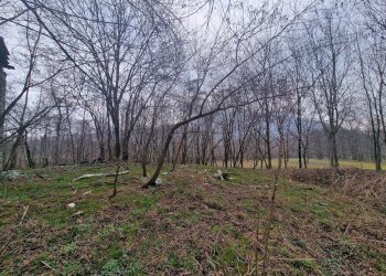 Rustico via Allemagna, Snc, Paesana - foto 5