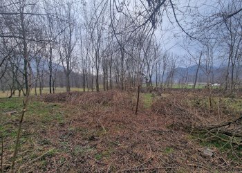Rustico via Allemagna, Snc, Paesana - foto 7