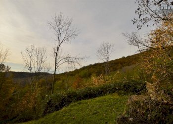 terreno - Rustico strada Provinciale di Issiglio, Issiglio - foto 4