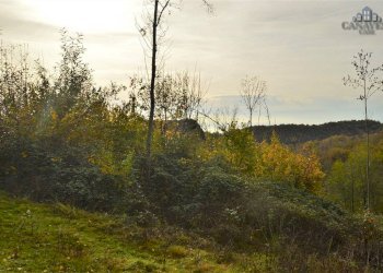 terreno - Rustico strada Provinciale di Issiglio, Issiglio - foto 11