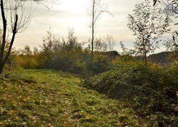 terreno - Rustico strada Provinciale di Issiglio, Issiglio - foto 12
