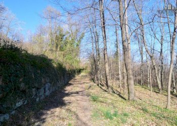 strada - Rustic Frazione Triverio, Quagliuzzo - photo 10