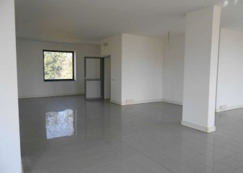 DSCN0083 - Locale Commerciale strada provinciale Strada Provinciale 415 Paullese, 19, Madignano - foto 14