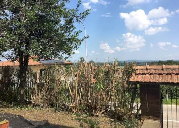 Terreno - Villa via Provinciale, 19A, Colleretto Giacosa - foto 8